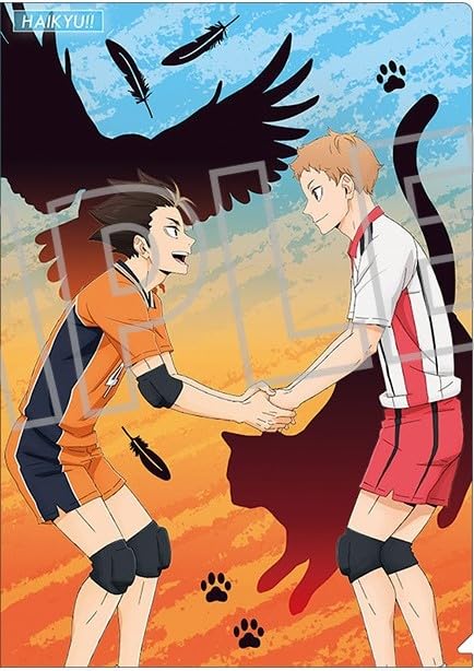 Haikyuu Clear File Nishinoya Yuu Karasuno Yaku Morisuke Nekoma Official Goods