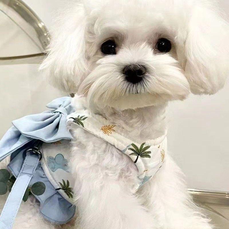Japanese Style Three-in-One Outdoor Chest Harness Leash Bowknot Half Vest Style Dog Bichon Teddy Pet Cat Suitable
