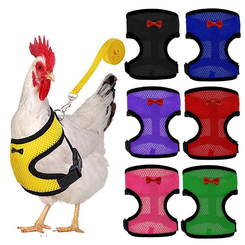 Matching Collars Small Animal Adjustable Bow Pet Harness Leash Chick Leads Hen Belt Chicken Vest