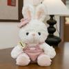 Painter Series Teddy Bear & Rabbit Plush Toy - Cute Doll Gift for Girls' Birthdays