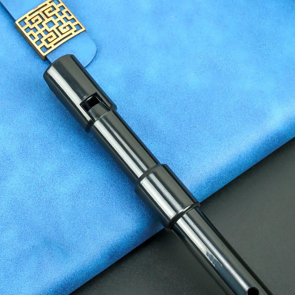 Registratore Schwinger a 6 Fori Chiave D Resina per Principianti Portatile Non Tossico Flauto Registratore Bambini Musica
