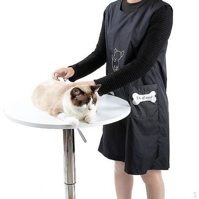 Köpek – Köpek bakım ürünleri