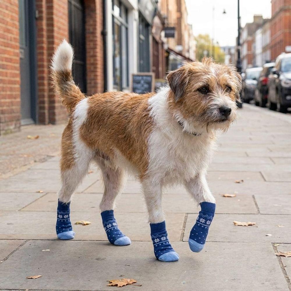4PCS Adjustable Anti Slip Dog Socks Breathable Puppy Shoes Socks Pet Foot Covers  Outdoor Use