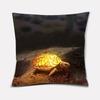 Animal Pillow Series Deer Penguin Fox Pillow bedroom Study Room Sofa restaurant seat balcony rocking chair pillow sleeve