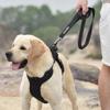 Elastic shock-absorbing elastic leash NPFPL002