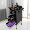 6-Layer Professional Salon Trolley with Handle and Wheels, 5 Drawers and 2 Hair Dryer Holder