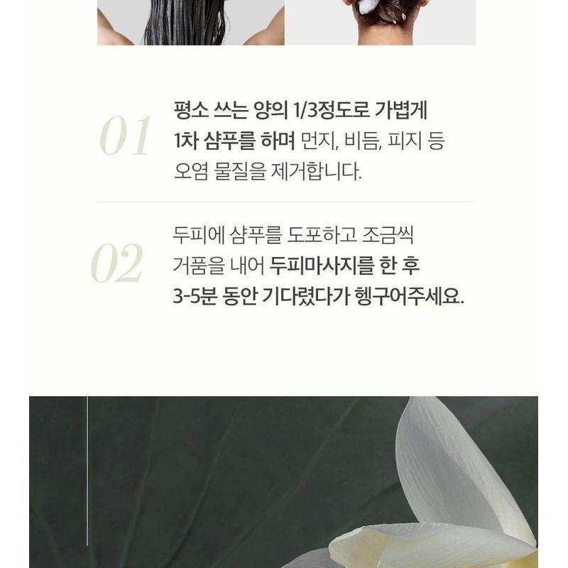 THE PURE LOTUS - Lotus Leaf Shampoo For Oily Scalp Jumbo