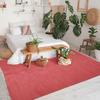 Living Room Rug In Jute Cotton with Terracotta Fringes 120x170