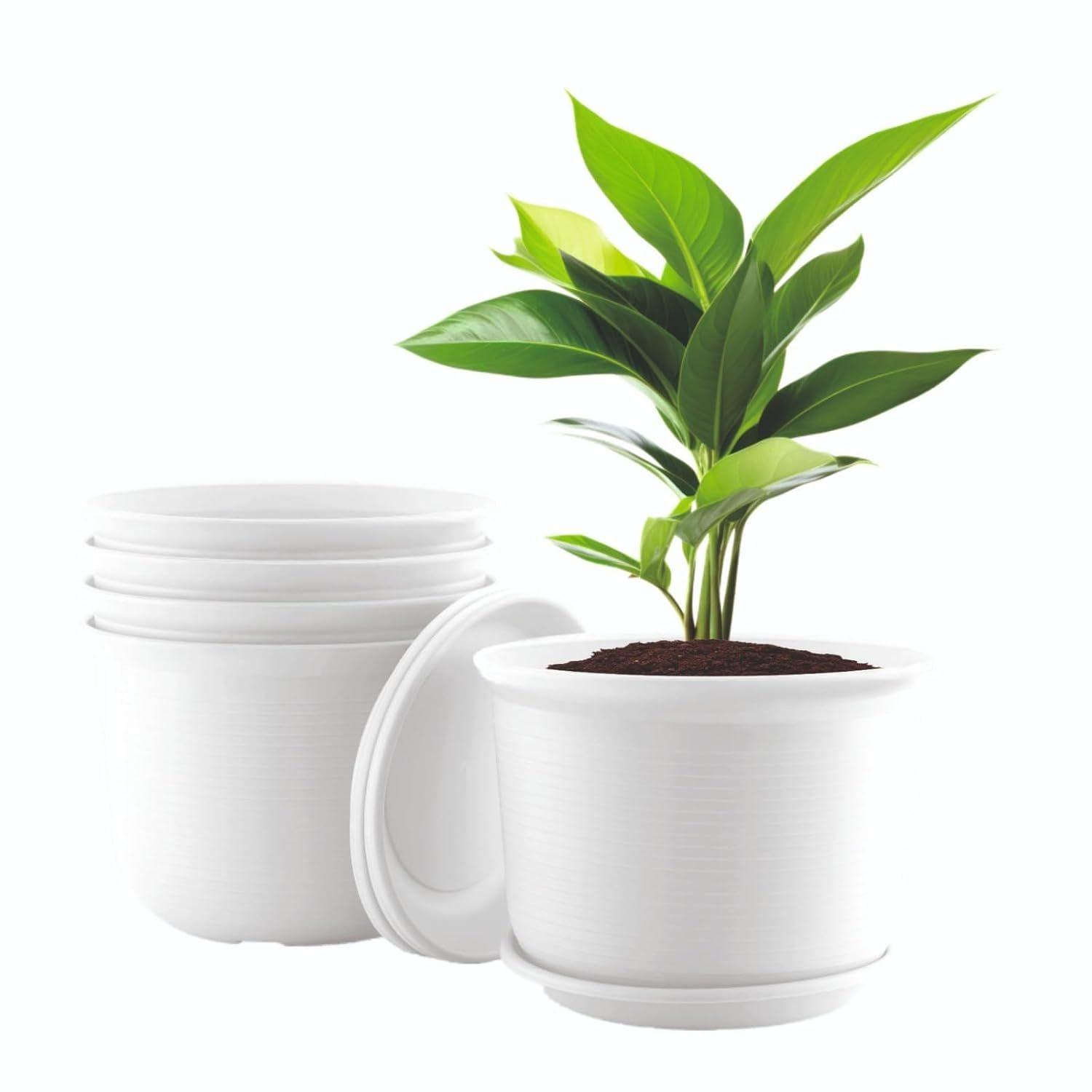 

10 Inch Plastic Round Flower Pots with Tray for Home Planters, Terrace, Garden Etc | White | for Home Indoor & Outdoor Gardening Plants| Pack of 05 |