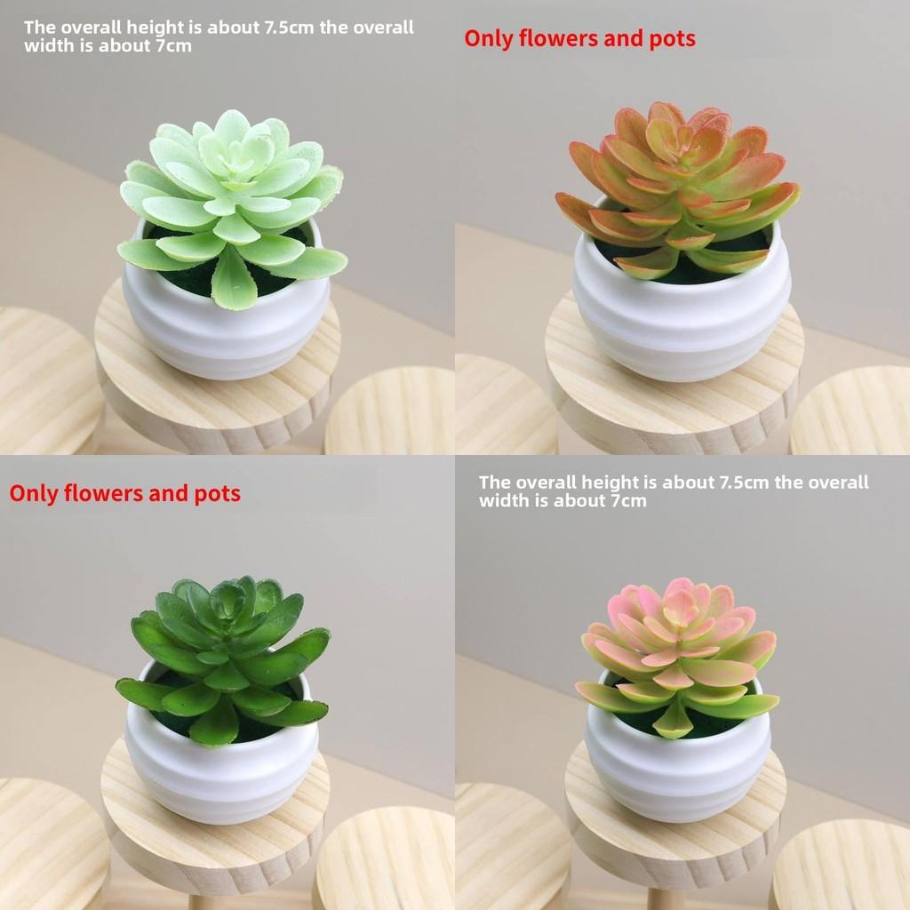 Faux Succulent Plant Lotus Potted Plant For Bedroom Or Workspace