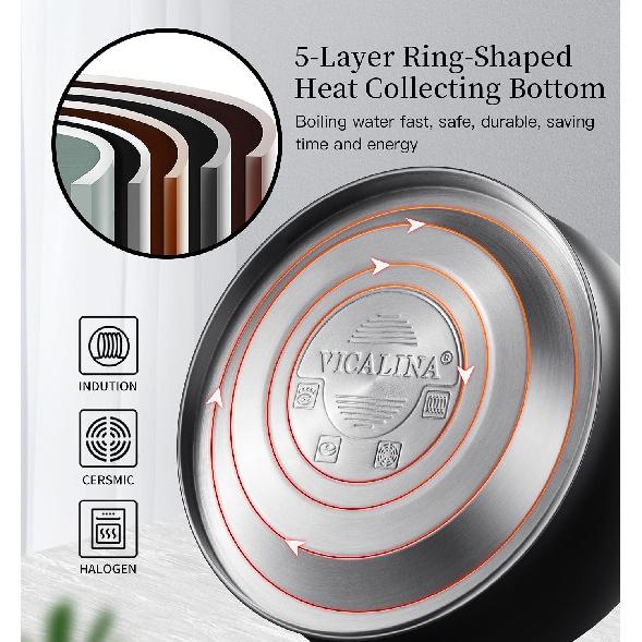 Tea Kettle & Tea Pot, 2.64 Quart Food Grade Stainless Steel Induction Whistling Tea Kettle for Stove Top Home Daily Use Teapot with Cool Touch