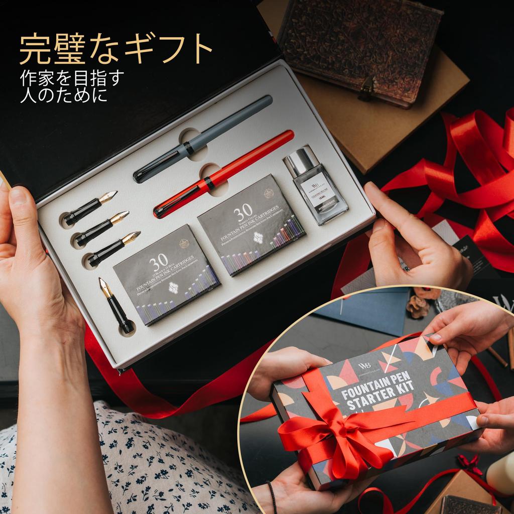 Wordsworth and Black Fountain Pen Set - Gray - Includes 2 Pens, 18ml Ink Bottle, 60 Ink Cartridges, Ink Refill Converter, 1 Medium Nib, 4 Broad Nibs,