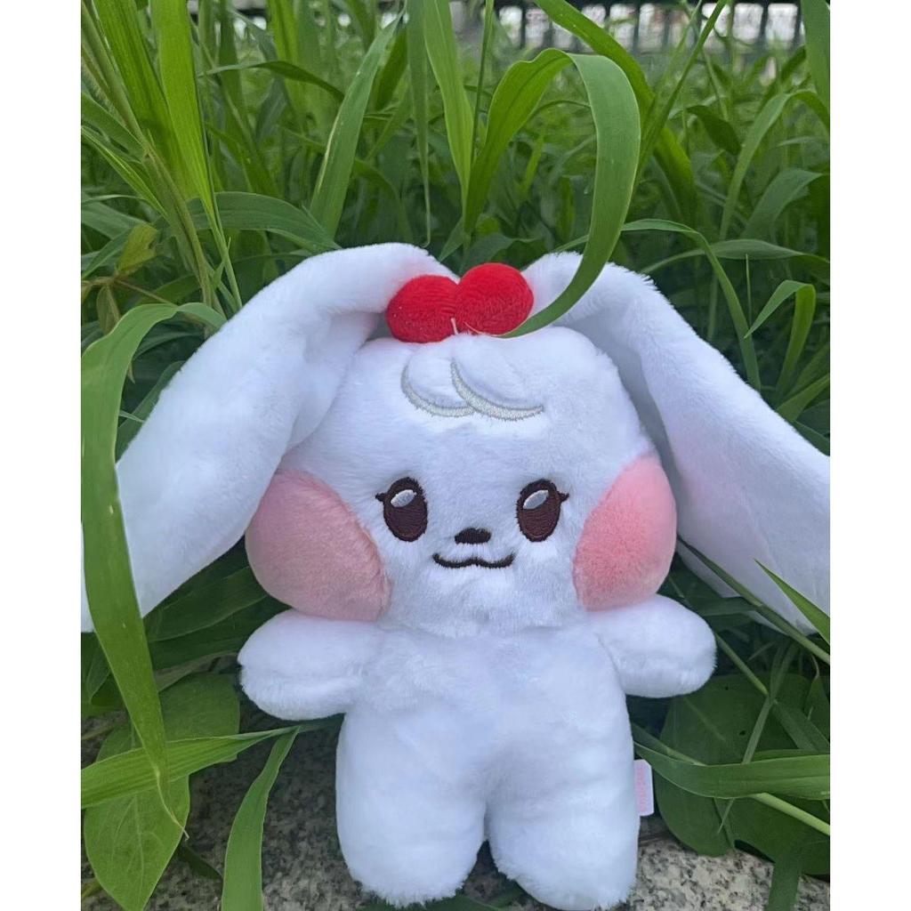 Jang Wonyoung Rei Liz Yujin Gaeul Minini Plush