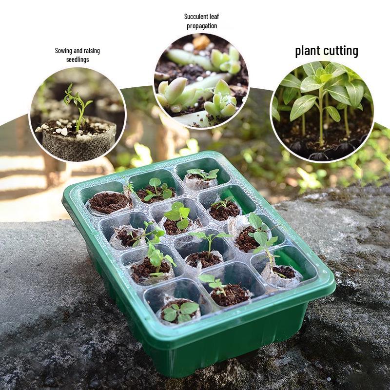 6/12-Hole Breathable Seedling Tray for Home Vegetable Planting and Care