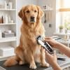 USB Rechargeable Electric Pet Clipper Low Noise Cat Shaver Universal Dog Hair Clippers  Pet Salon