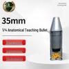 Xing Rong Hui 35mm Quarter Dissection Bullet Training Model