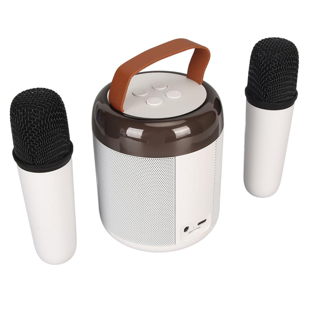 Wireless Karaoke Speakers RGB Light  5.3 Speaker with 2 Wireless Microphones Portable Karaoke Machine for Family Party