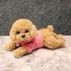 Stuffed Animal Teddy Dog Toy Body Pillow Knee Puppy Simulation Dog Cute Realistic Soft Sleeping Pillow Comfortable Body Pillow Fluffy Light Clothes