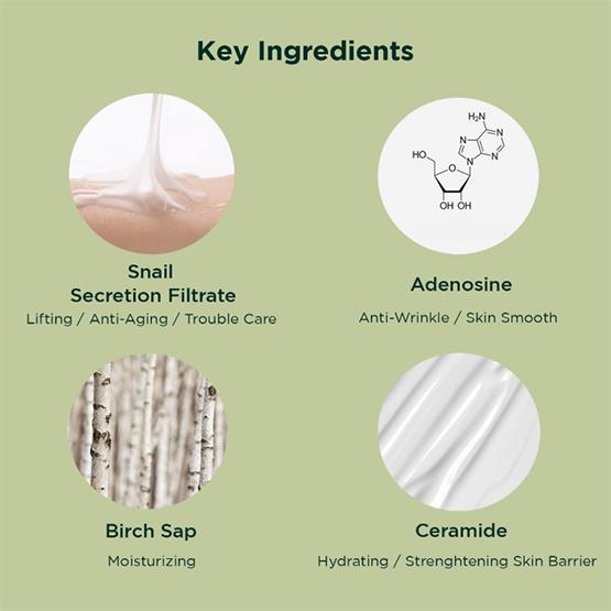 [DEWYTREE] Ultra Vitalizing Snail Cream 80ml