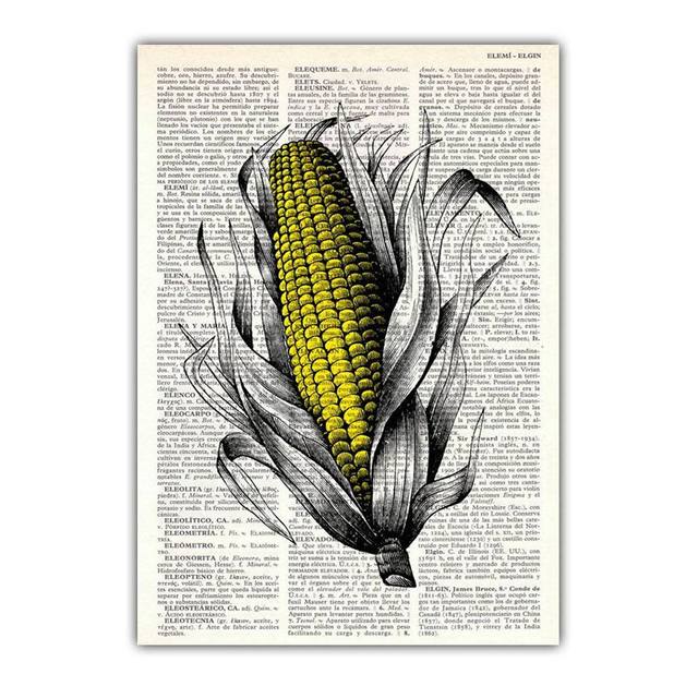 

Ретро искусство растение холст живопись словарь овощ баклажан редис настенное искусство постер офис гостиная украшение дома фреска без рамки 21*30cm No Frame