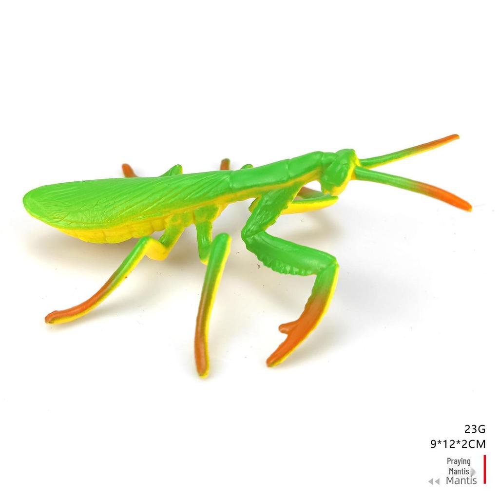 Children's Cognitive Teaching Toys: Insect Models - Butterfly, Ladybug, Rhinoceros Beetle, Bee, Grasshopper