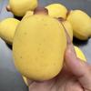 1Pcs Slow Rebound Anxiety Relief Fidget Gadget Simulated Crispy Mini Sesame Banana Squeeze Handmade Stress Relief Toy
