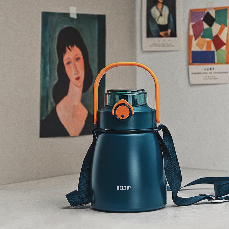 RELEA 316 Stainless Steel Insulated Straw Bottle