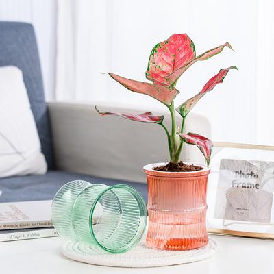 Vaso de flores autoirrigável transparente suculentas hidropônicas mini vasos de plantas vasos de flores de mesa decoração de bonsai para casa