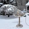 Bird Bath Heater For Outdoors In Winter - 10 W Birdbath Deicer With Thermostatic Control