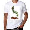 Sphinx Moth and Pupa T-Shirt Plain Sublime Sweat T Shirts for Men Cotton