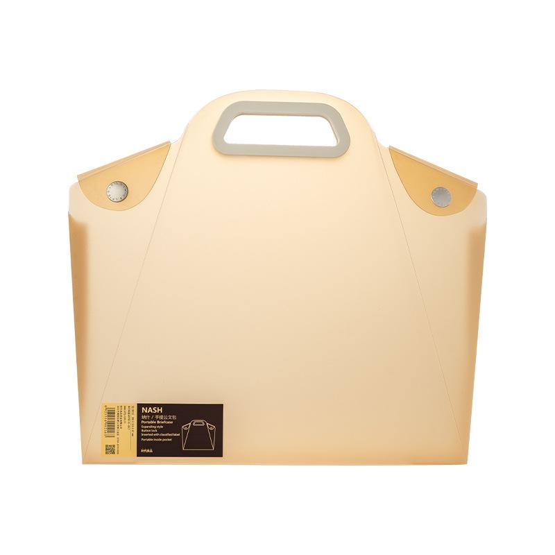 Transparent File Bag, Large Capacity Portable Storage Bag for Data and Exam Papers, and Organ Storage Bag for Tutoring