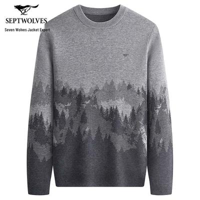 Men's Winter Wool Blend Colorblock Round Neck Sweater