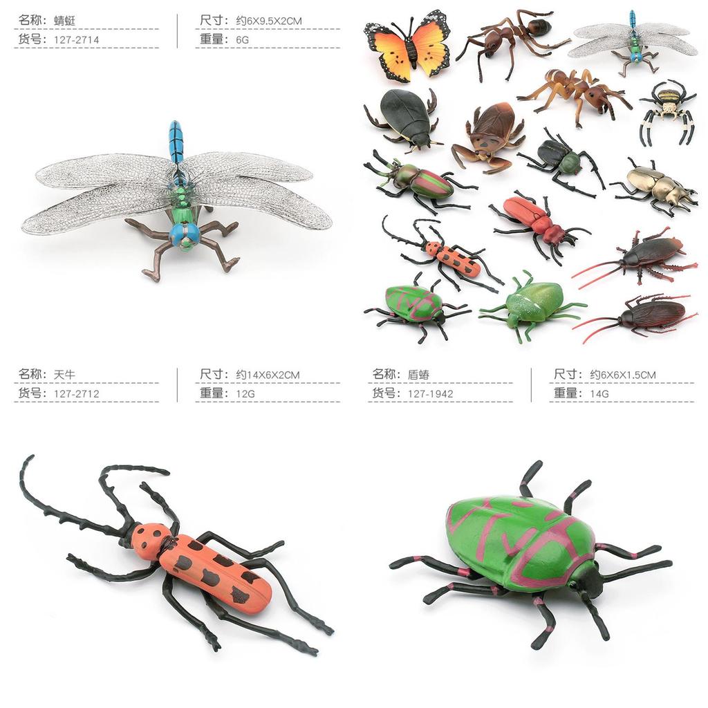 Authentic Detailed Insect Model Collection Including Butterflies Dragonflies Ants Spiders And Beetles Perfect For Home Decor