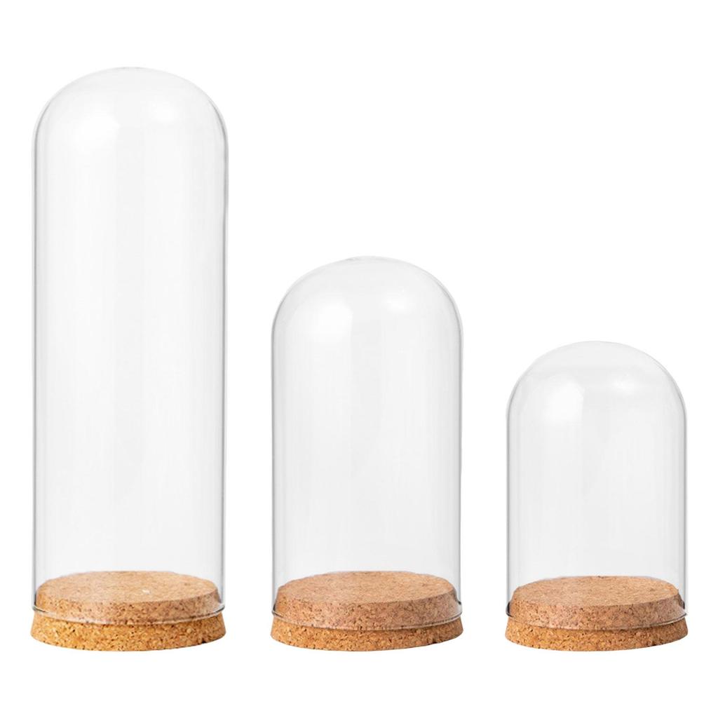 Cloche Glasglocke Ausstellungsdom Fall DIY Behälter Ornament Dom Cloche Abdeckung für Party Schreibtisch Heim Büro Dekoration
