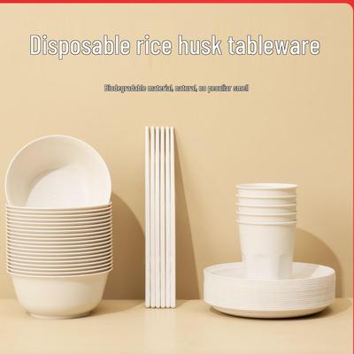 Explorer Outdoor Disposable Picnic Set: Plates, Chopsticks, Cups for BBQ & Camping