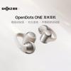 Shokz OpenDots ONE E310 Open-Ear Bluetooth Sports Headset