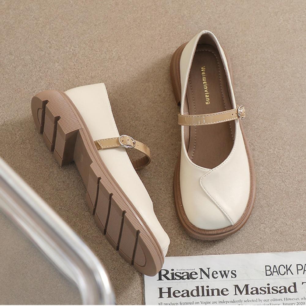 Fashion Thick Soled Mary Jane Shoes Women's New Spring Autumn Shallow Mouth Loafers Round Toe Single Shoes for Women Wide Heels Women