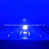 3W High-Power Dual Color Blue/White LED Lamp Beads with Copper Bracket