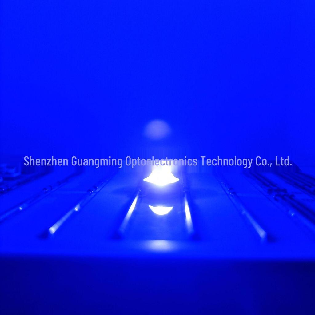 3W High-Power Dual Color Blue/White LED Lamp Beads with Copper Bracket