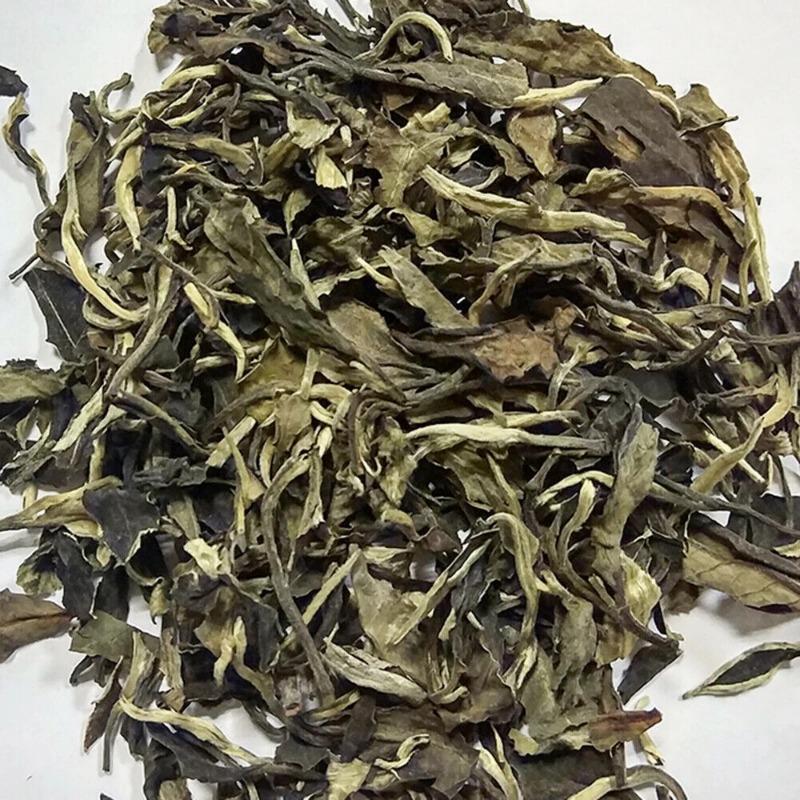 Бесплатный образец — фото 4