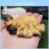 Bulldog French Puppy Resin Sculpture Figurine For Holiday Gifts Decorations