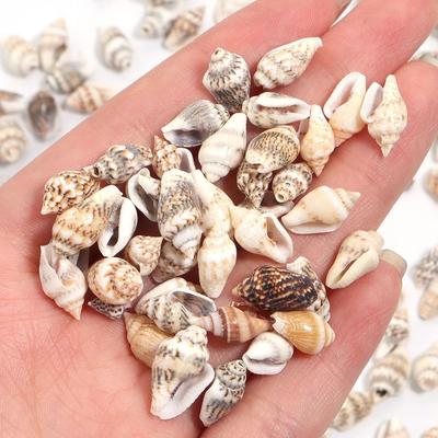 30g/Lot Sea Shell Beads For Jewelry Making Accessories Tiny Conch Cowrie Shells Charms Beads DIY Bracelet Necklace Wholesale