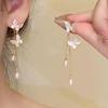 Elegant Silver Needle Butterfly Tassel Earrings: Unique High-End Fairy Design for a Cool, Feminine Touch