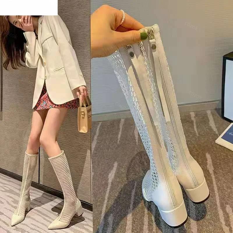 Fashion Cool Mesh Boots Women's Summer Stovepipe Season  2025 Thick Heel Mesh Boots Pointed Mid-heel Mesh High Boots Long Sandals