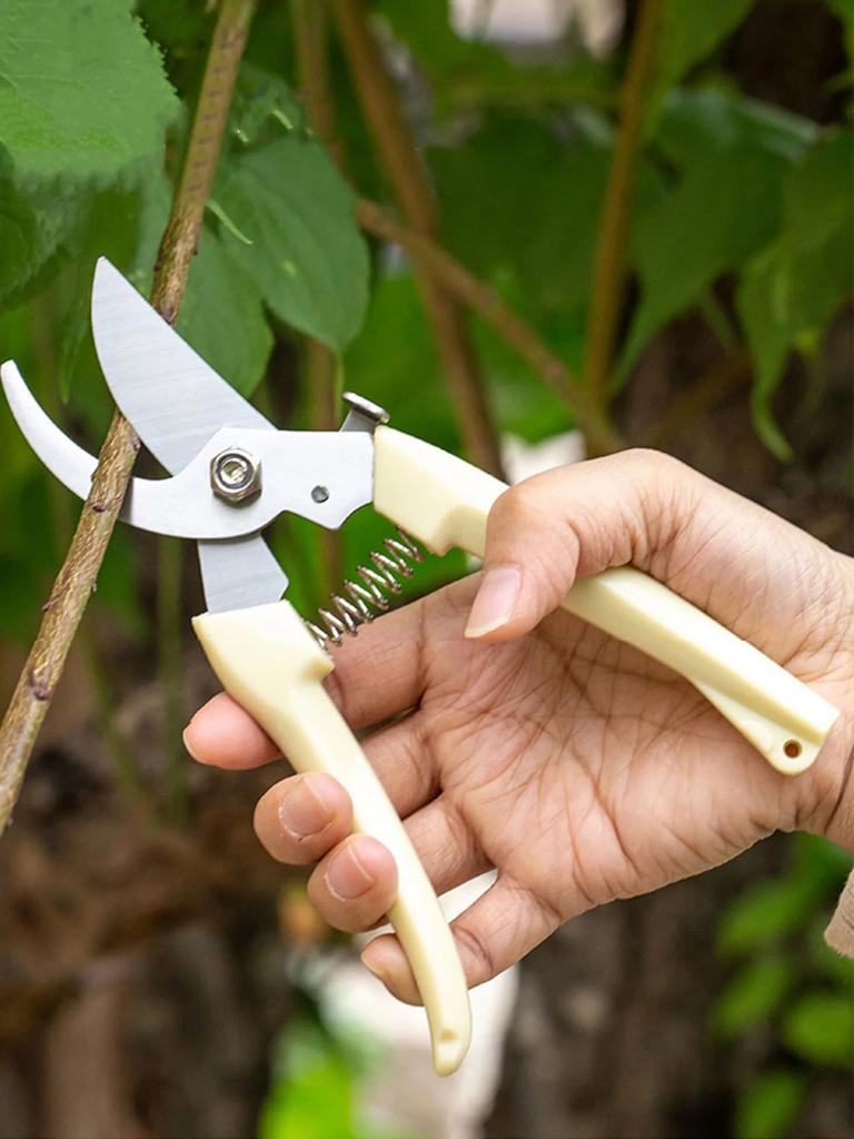 Stainless steel branch shears pruning shears picking fruit and flower shears garden fruit tree flower branch grafting gardening