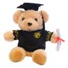 Gift Box Teddy Bear Doll Bear Plush Toy Children's Doll Birthday Company Event Gift Creative Gift Box