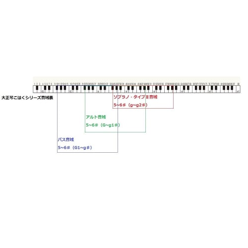 SUZUKI Electric Taishokoto Amber Soprano