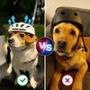 Adjustable Strap Pet Helmet Nylon Strap Dog Motorcycle Hat Fashion Cat Helmet  Pet Headwear