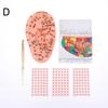 Pvc Material Ear Massage Model Reflex Area Acupoint Teaching Auricle Therapy Tool Ear Acupuncture Model Medical Supplies Health