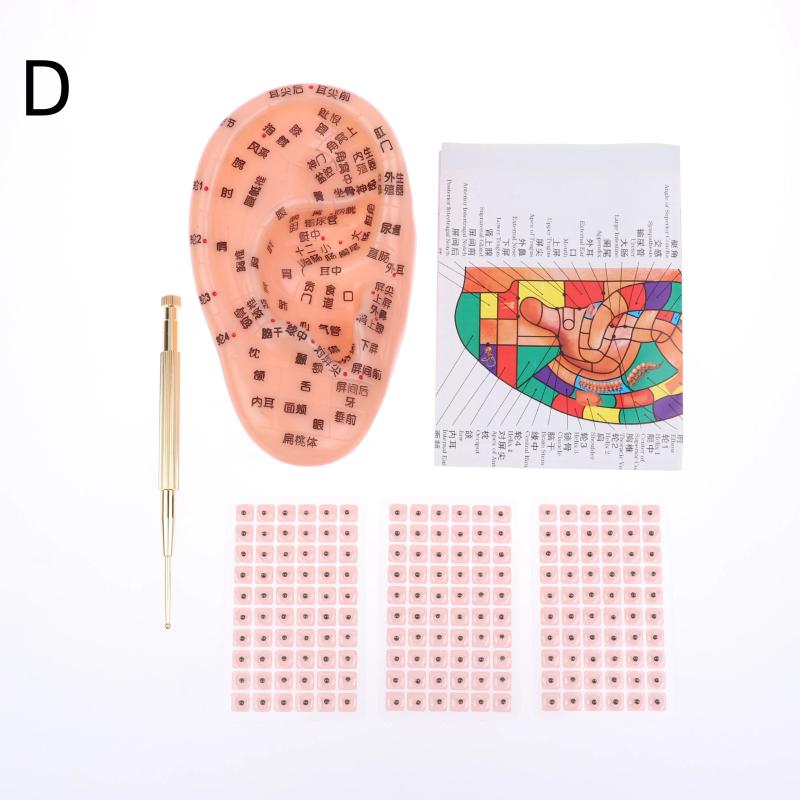 Pvc Material Ear Massage Model Reflex Area Acupoint Teaching Auricle Therapy Tool Ear Acupuncture Model Medical Supplies Health